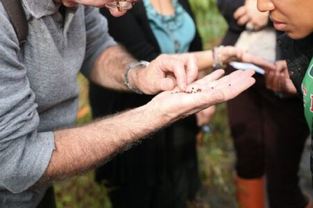 The Exciting Herbal Resurgence Image